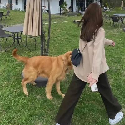 谁伴我一生